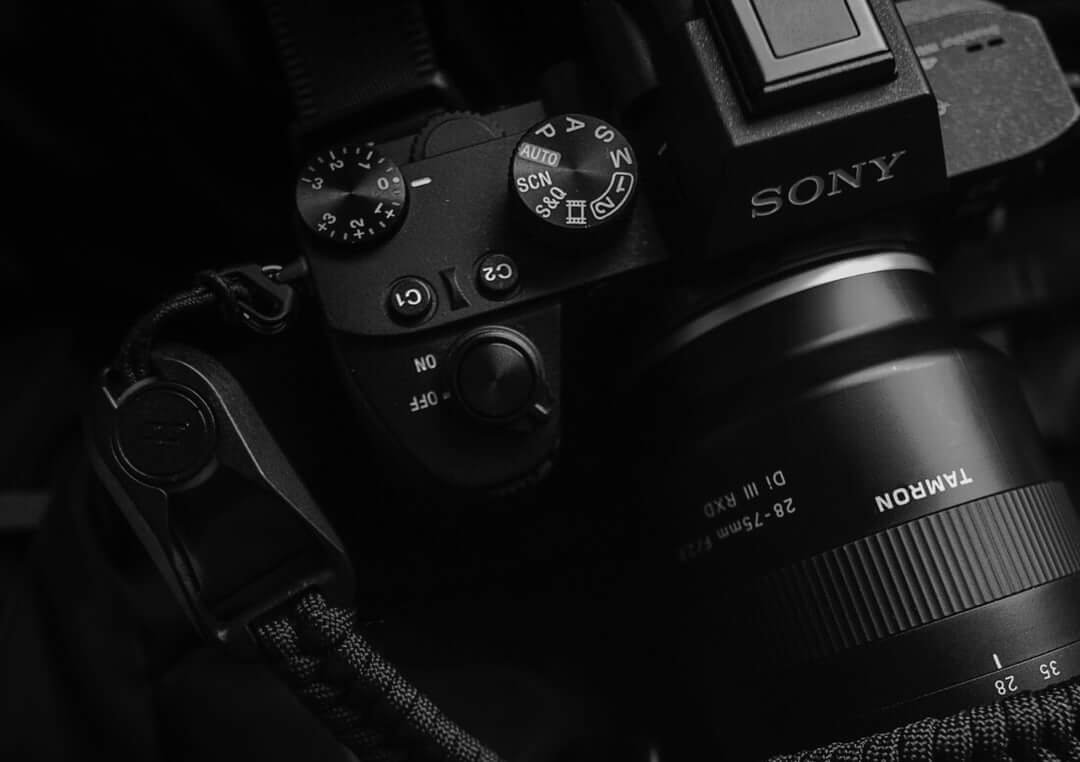 Lee más sobre el artículo Which Camera Will Survive? Sony a1, Nikon Z9 and Canon R3